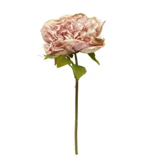 Pæon stilk H30cm kunstig Rose/lyserød - Brands